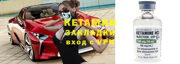 стафф Дубовка