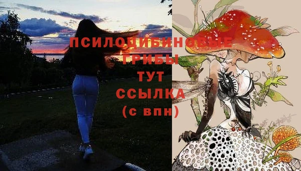 кокаин колумбия Пересвет
