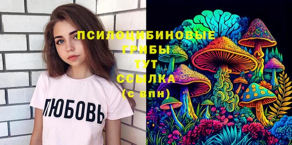 МДПВ Пестово