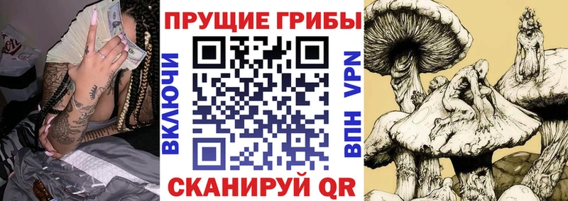 наркота Орёл Галлюциногенные грибы мухоморы